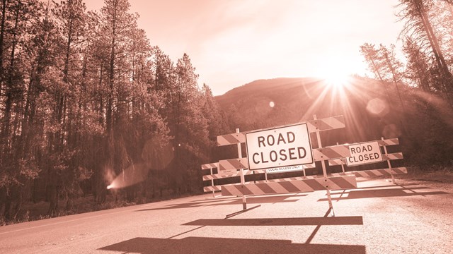 A sign says road closed and sun flares behind. 
