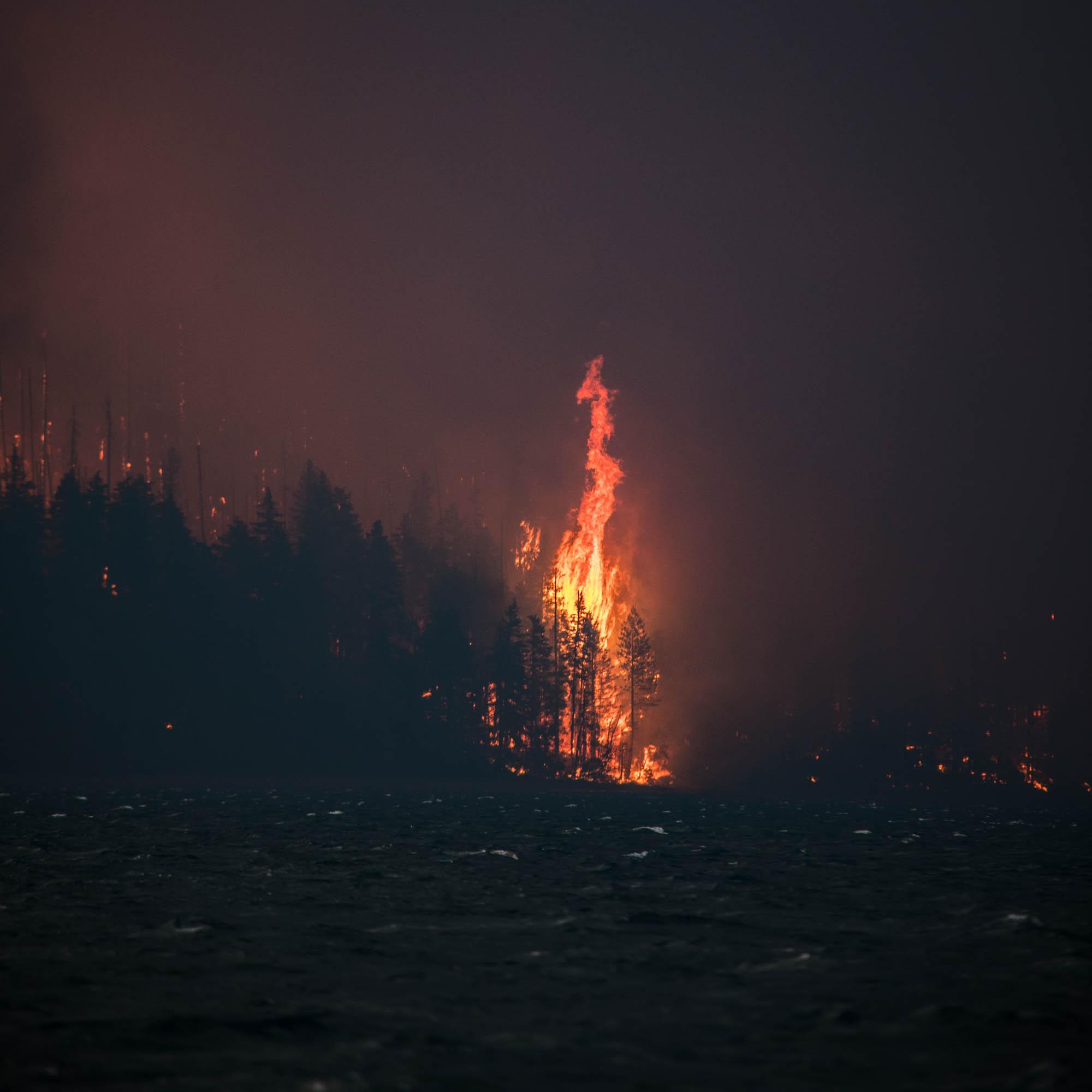 A fire burns trees past a lack. 