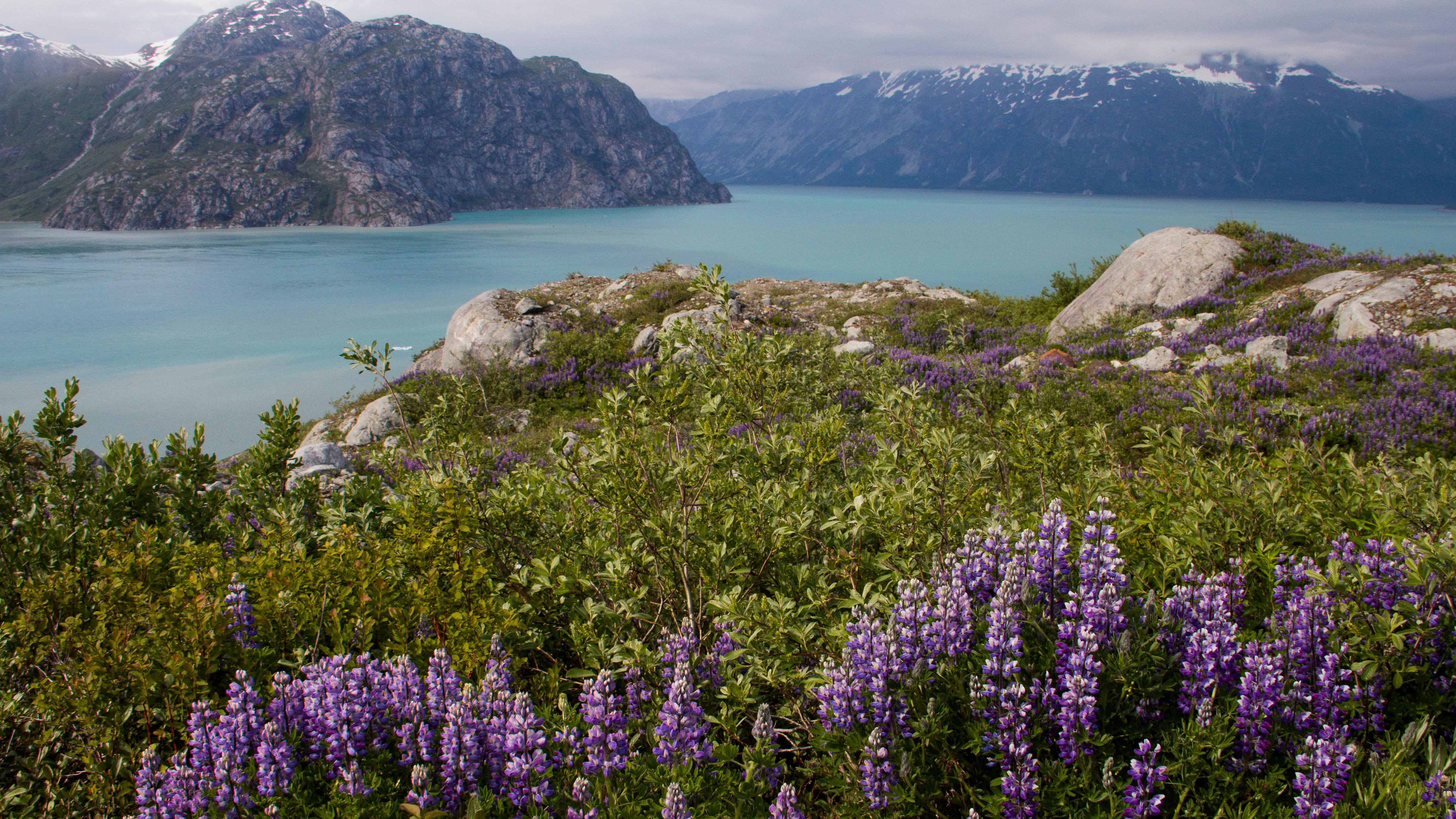 What Makes Glacier Bay Special?