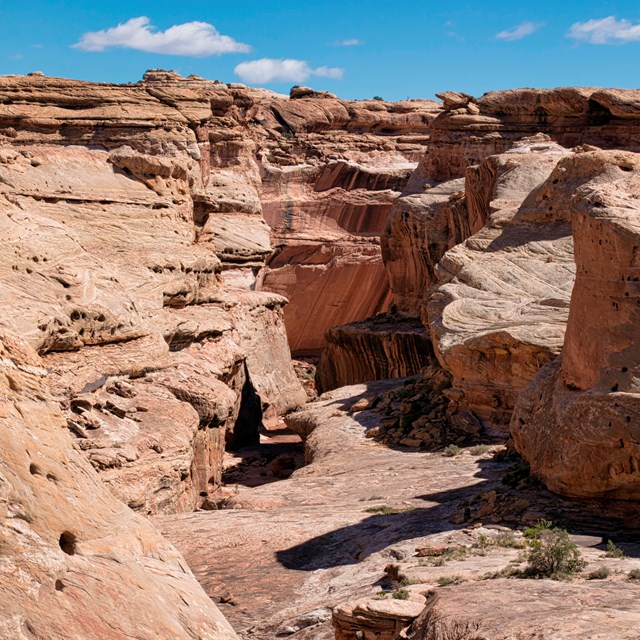 curving light colored sandstone canyon under clear skies