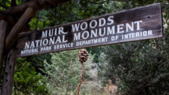 wood sign reads muir woods national monument