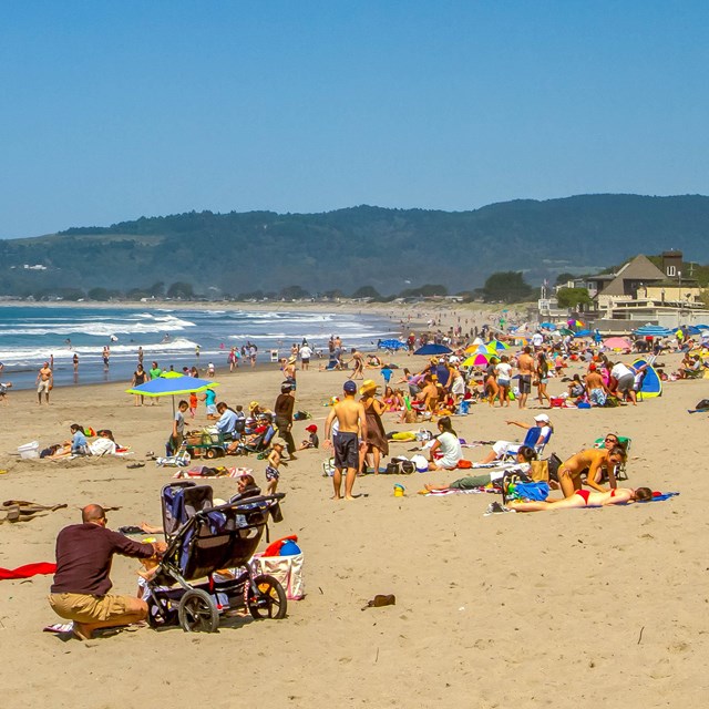 People in bathing suits recreate on the beach with strollers and colorful umbrellas.