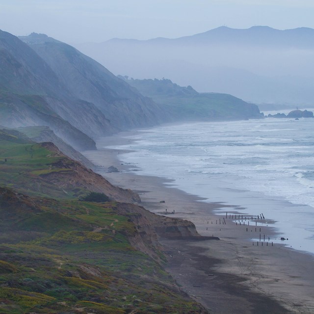 Waves crash on the shore surrounded by rolling green hills on a foggy day.