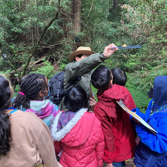 Ranger talks to a group of students in the woods