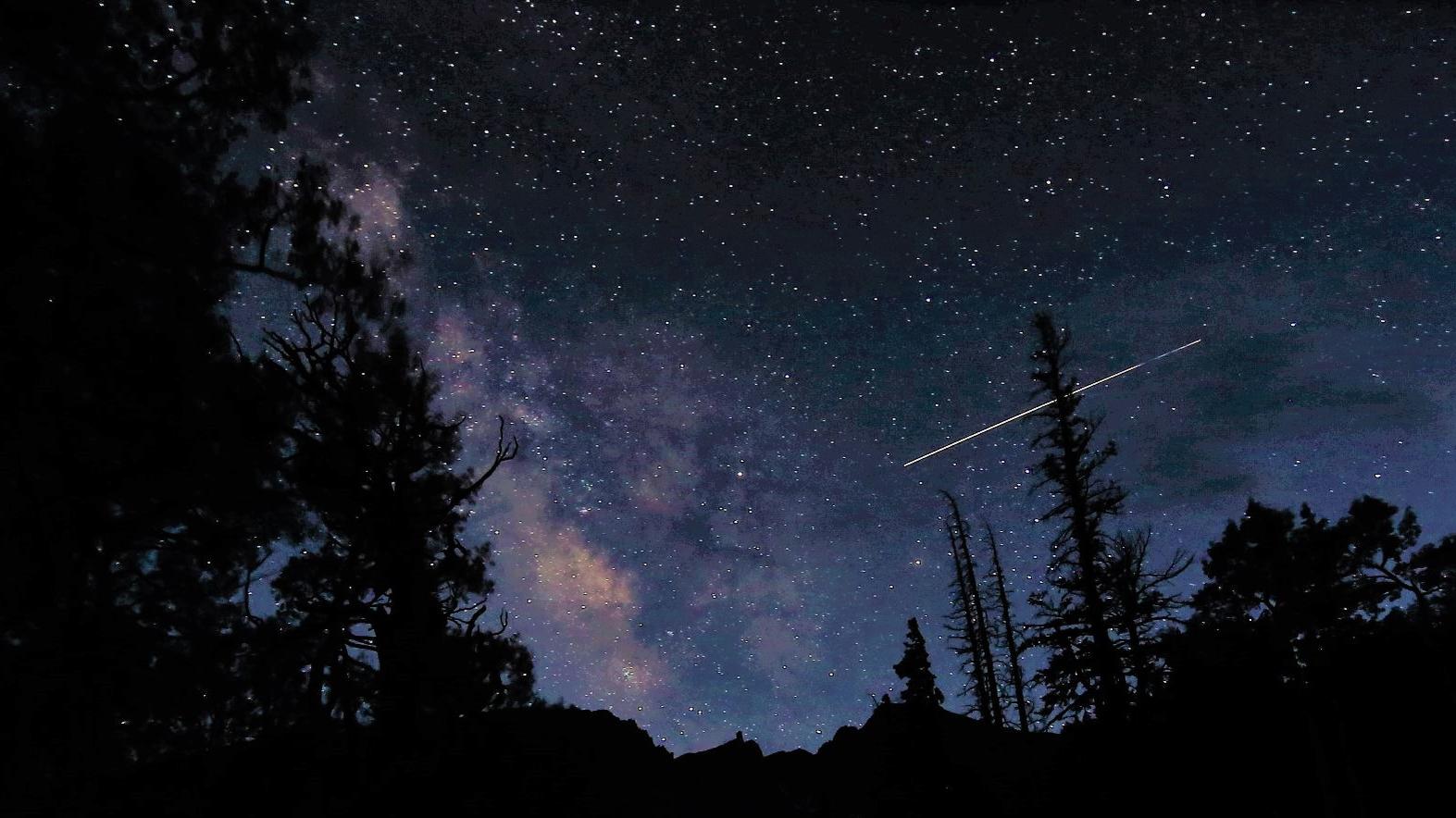 Black foreground of tree silhouettes, with a dark purple sky dotted with stars and the Milky Way