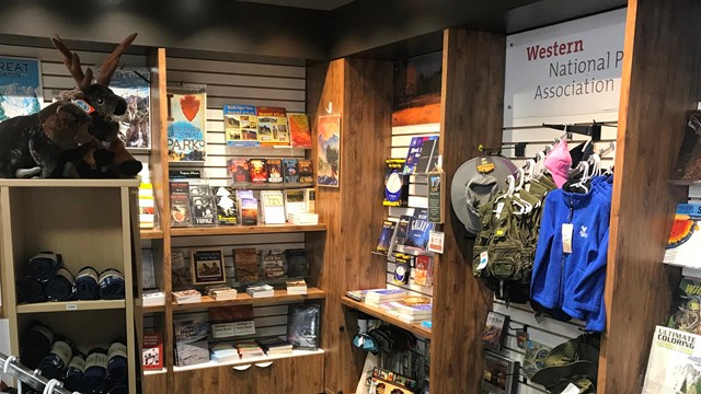 Brown shelving of park bookstore.