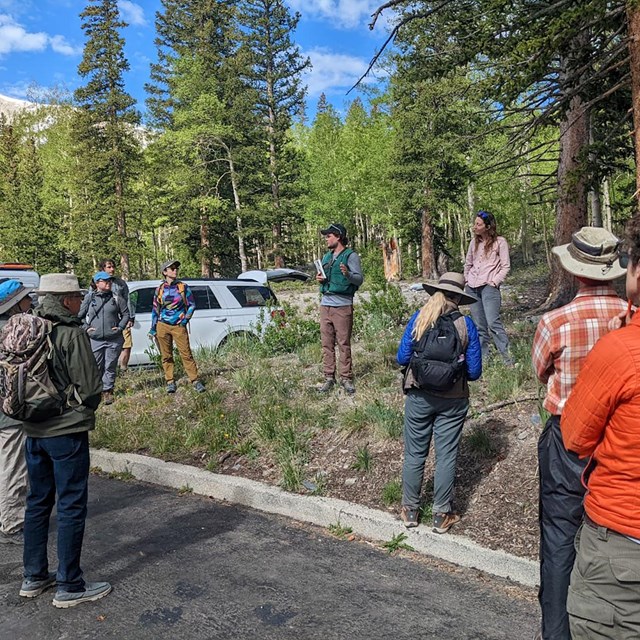 Ten people stand in forested area near parking lot listening to instructions from scientist.