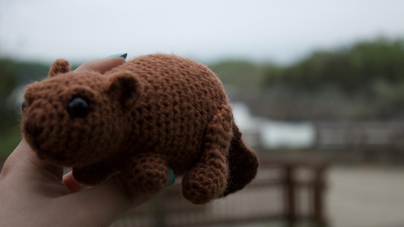 A hand holding a crocheted beaver in front of an Overlook of a waterfall. 