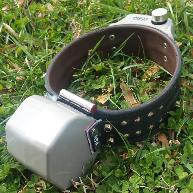 A bear tracking collar on the ground.