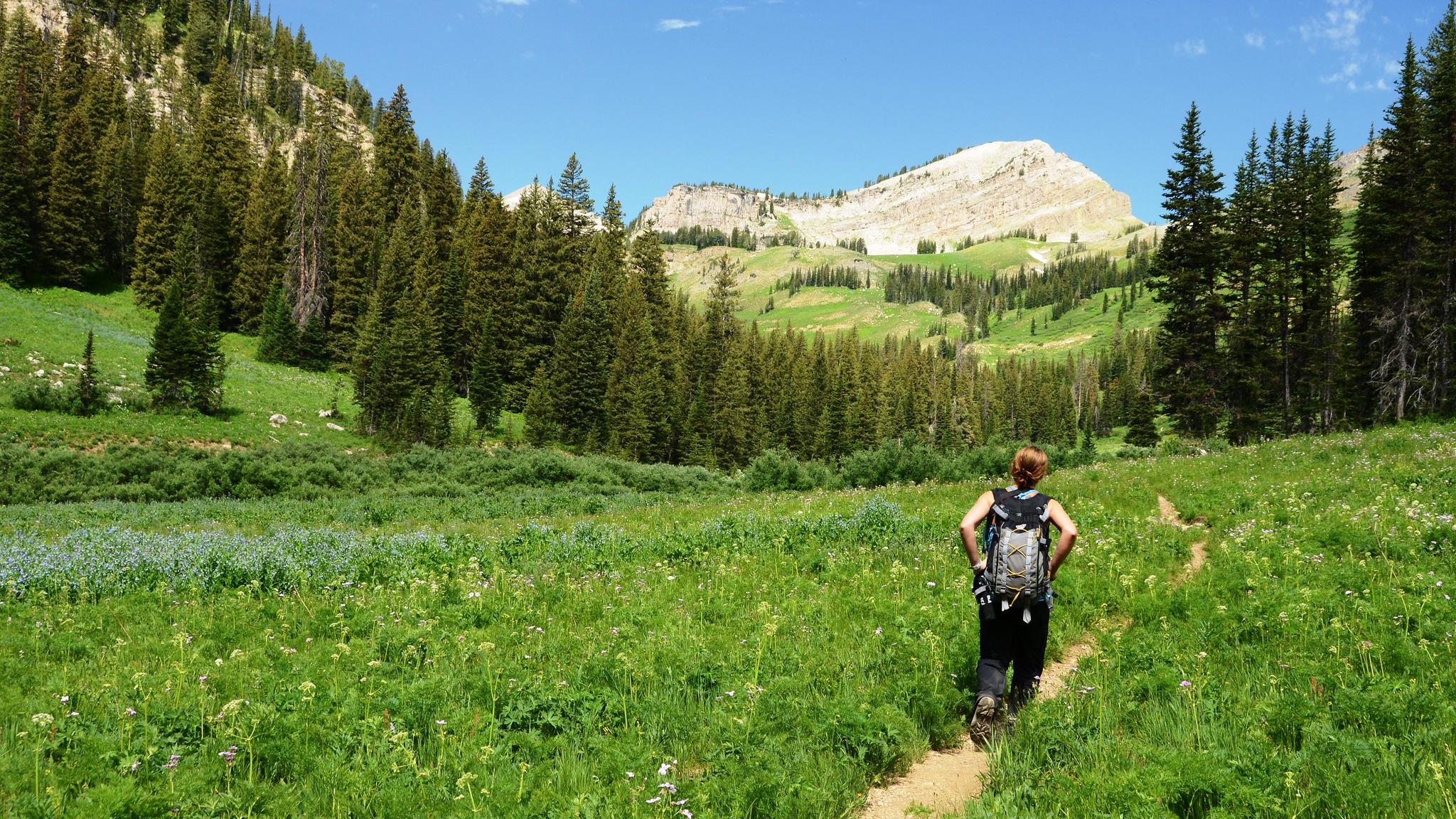 Hiker on the granite canyon trail