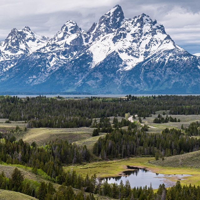 Undulating tree-covered hills surround a pond in front of the snow-covered Teton Range.