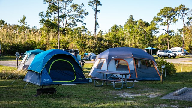 An empty Fort Pickens campground with green grass sites, picnic tables, and fire circles.