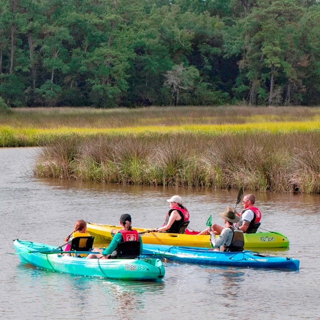 Kayak the Bayou