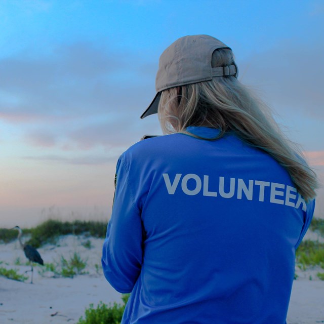 A woman with her back to the camera sits on the beach, her shirt reads 