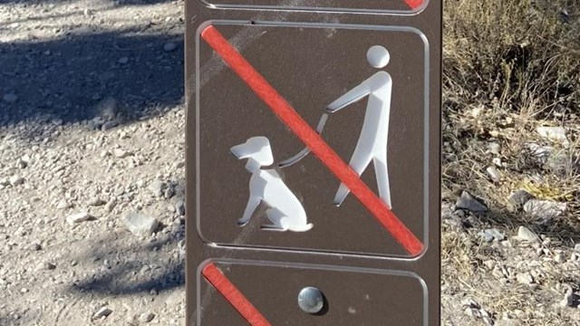 Brown sign denoting that pets are not allowed on trails