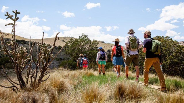 A park ranger and a group of hikers  follow a trail in a desert meadow