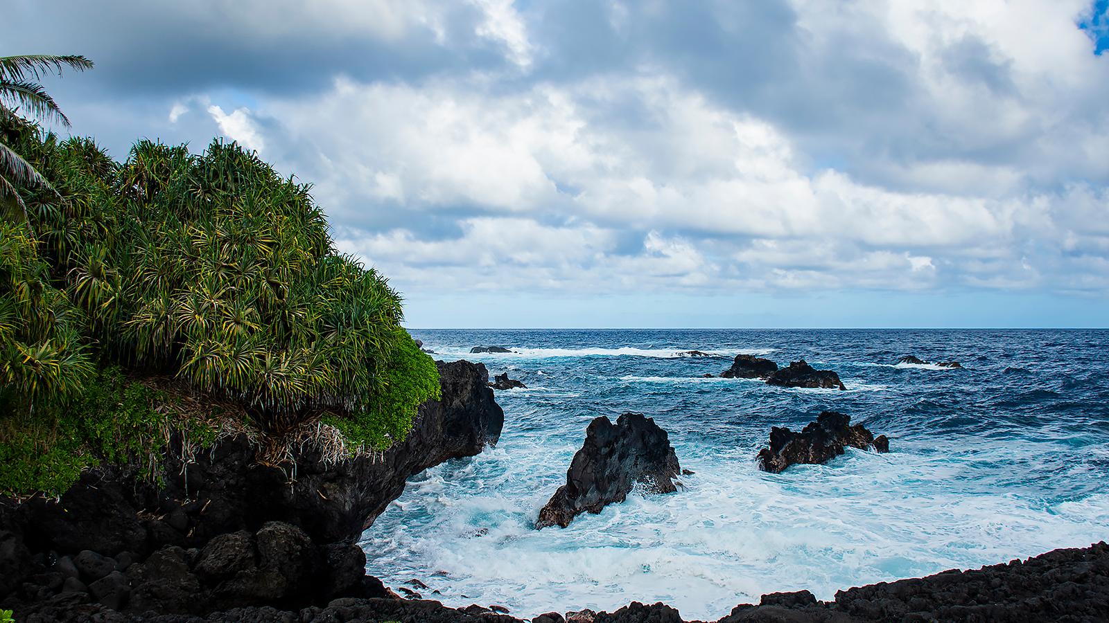 blue ocean meets black rock at a cove with lush greenery