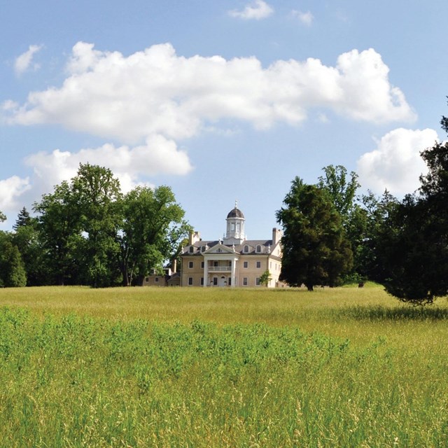 Picture of mansion from the other side of the meadow