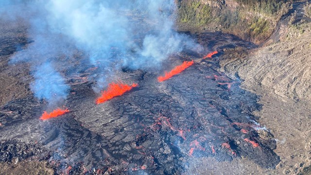 Bright red lava fountains in a line at the bottom of a dark lava crater surrounded by vegitation.