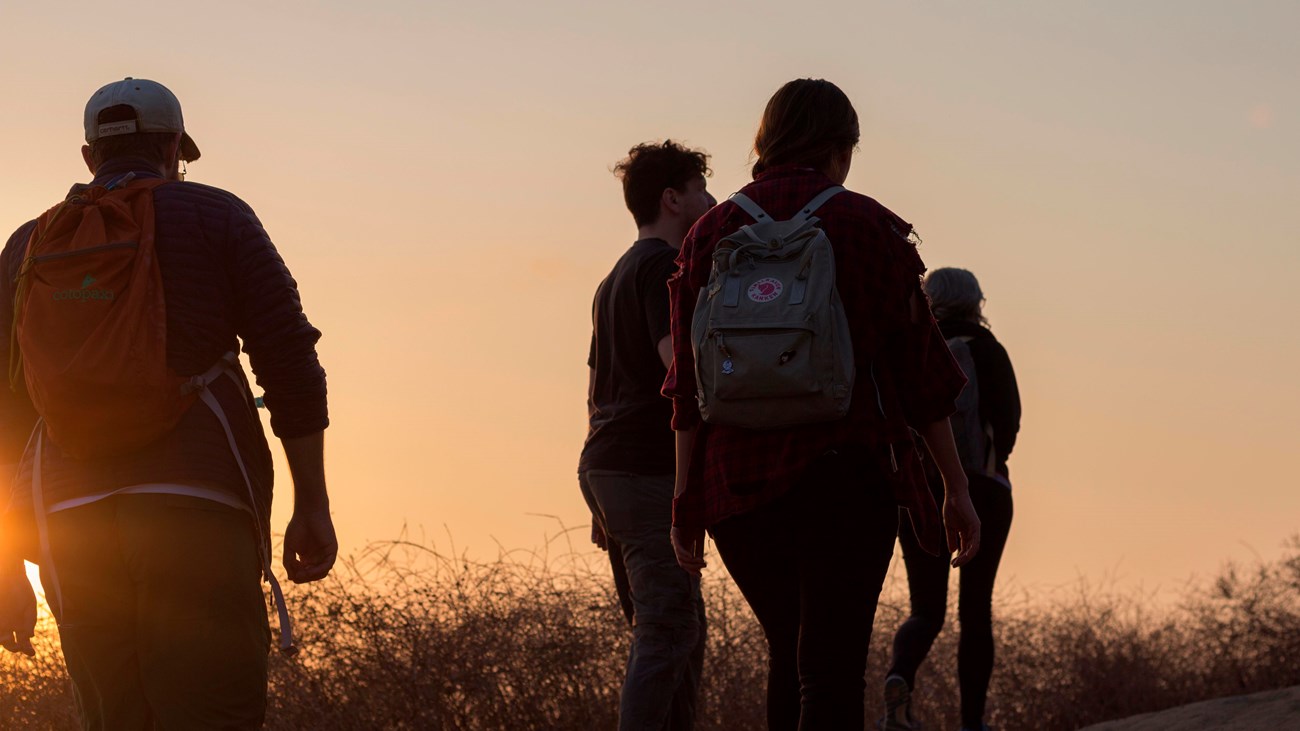 Hikers walking at sunset