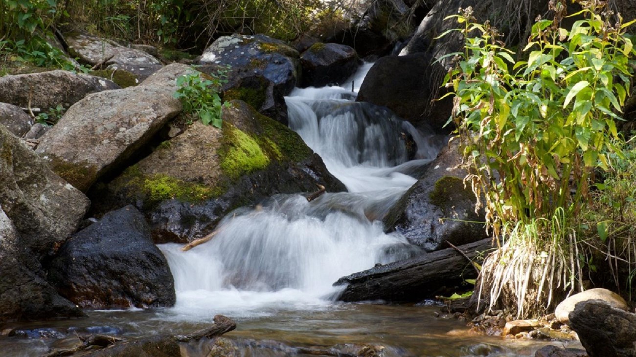 Disease Prevention Index: W - Health & Safety (U.S. National Park Service)