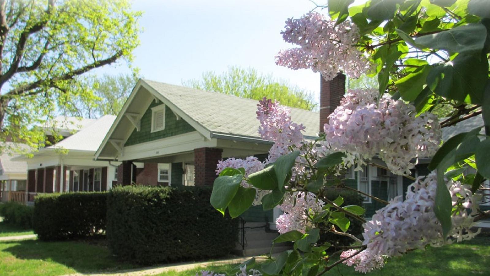 two bungalow homes, with a lilac bush in the foregraound