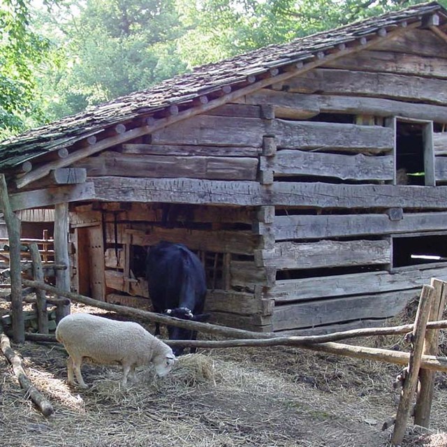 Photo of small stable at Lincoln Boyhood National Memorial