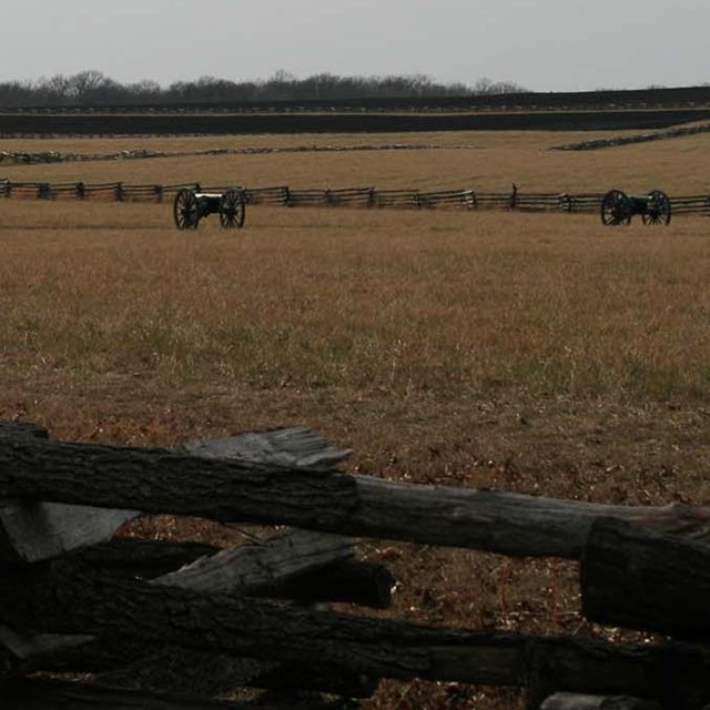 Photo of cannons in field at Pea Ridge National Military Park.