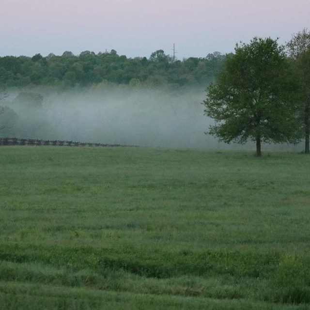 Photo of foggy morning at Wilson's Creek National Battlefield