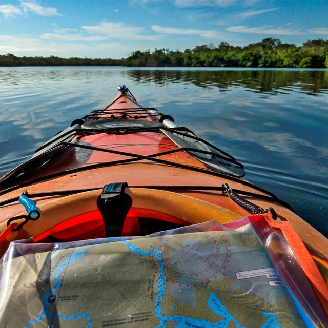 The tip of a kayak is seen on an everglades waterway.
