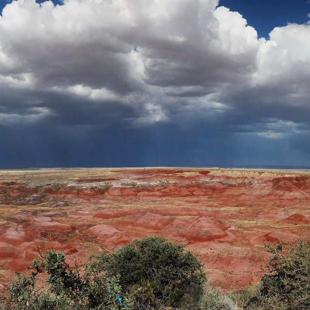 An arid, slickrock landscape with a storm on the horizon.
