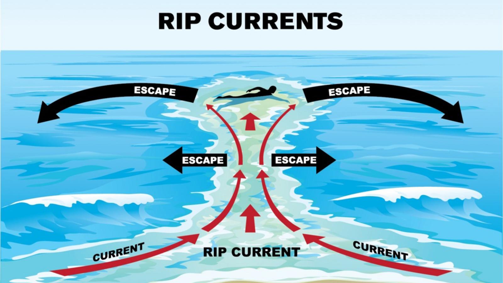 Rip Currents graphic