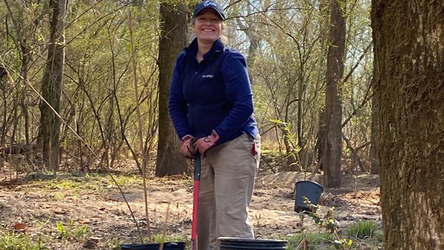 person holds shovel and stands in forest between two plants in buckets