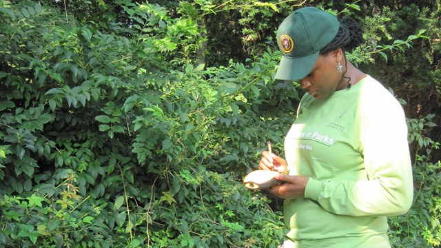 woman enters data into handheld device while standing next to shrubs