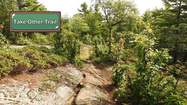 A rocky ridge trail.