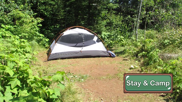 A small white and orange tent set up in a clearing in the woods.