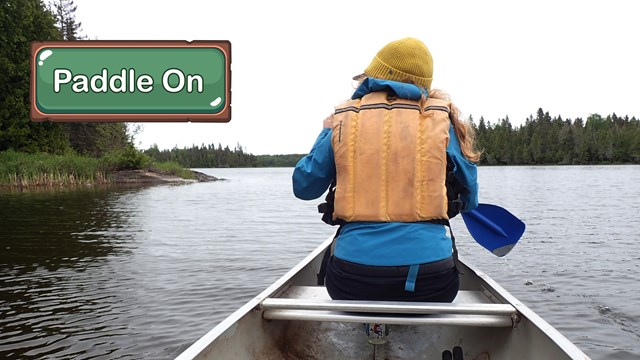 A person with their back turned to the camera paddles a canoe.