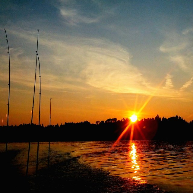 A sunset scene with fishing poles