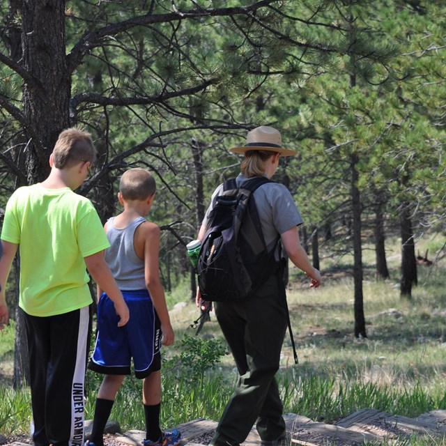 A ranger leads a group of youth along a trail through pine forest.