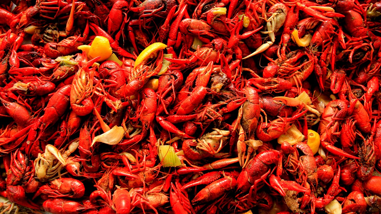 a pile of boiled crawfish with citrus and seasonings