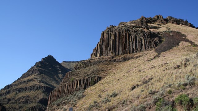 Columns of basalt emerging from a hillside.