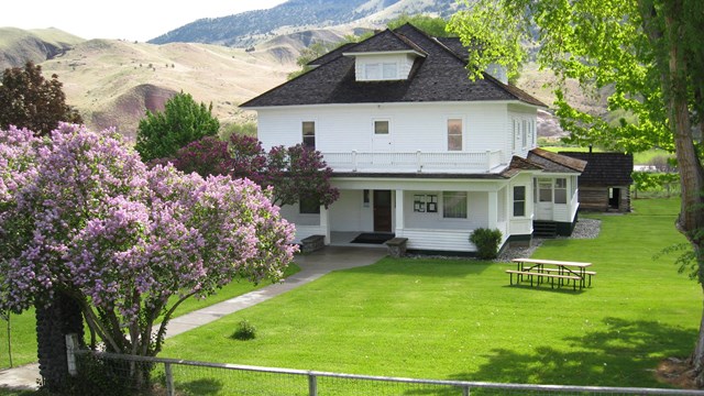 A white, two-story house with a green lawn and flowering tree in front.