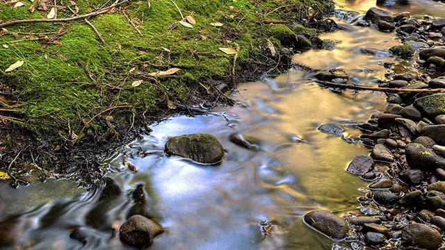 Smooth surface of a creek