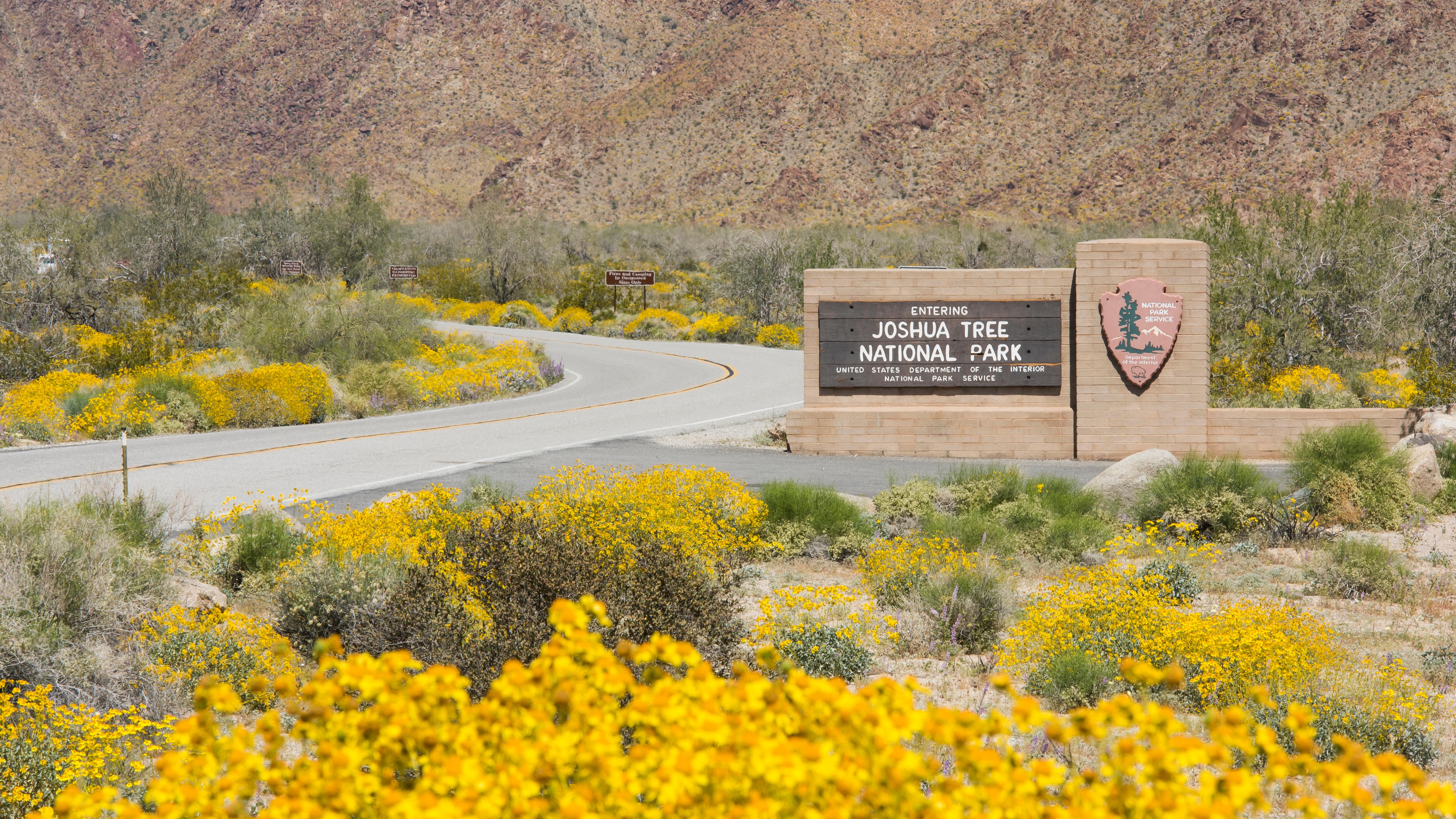 A sign that says, "entering Joshua Tree National Park" with yellow flowers, mountains, and blue sky.
