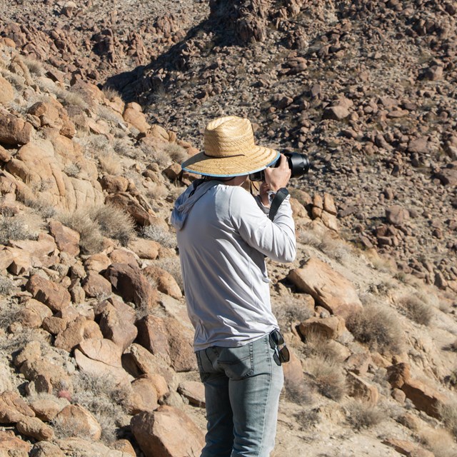 Person taking photo with desert backdrop.