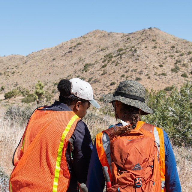 Two volunteers in orange safety vests talk outside with a desert landscape in the background.