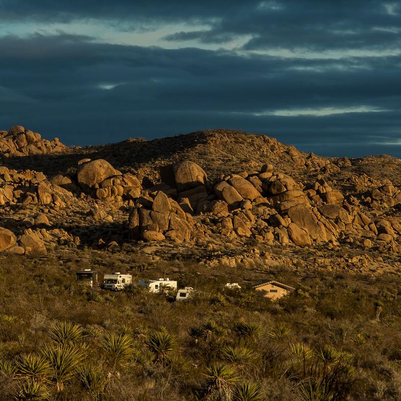 drone joshua tree