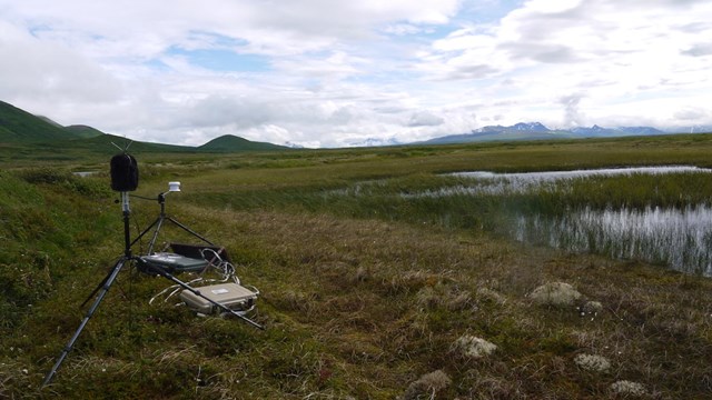 Equipment collects sound in a green field, with mountains in the background.