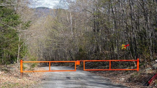 Image of a closed gate at the middle of a road. The gate is orange and the road is unpaved.