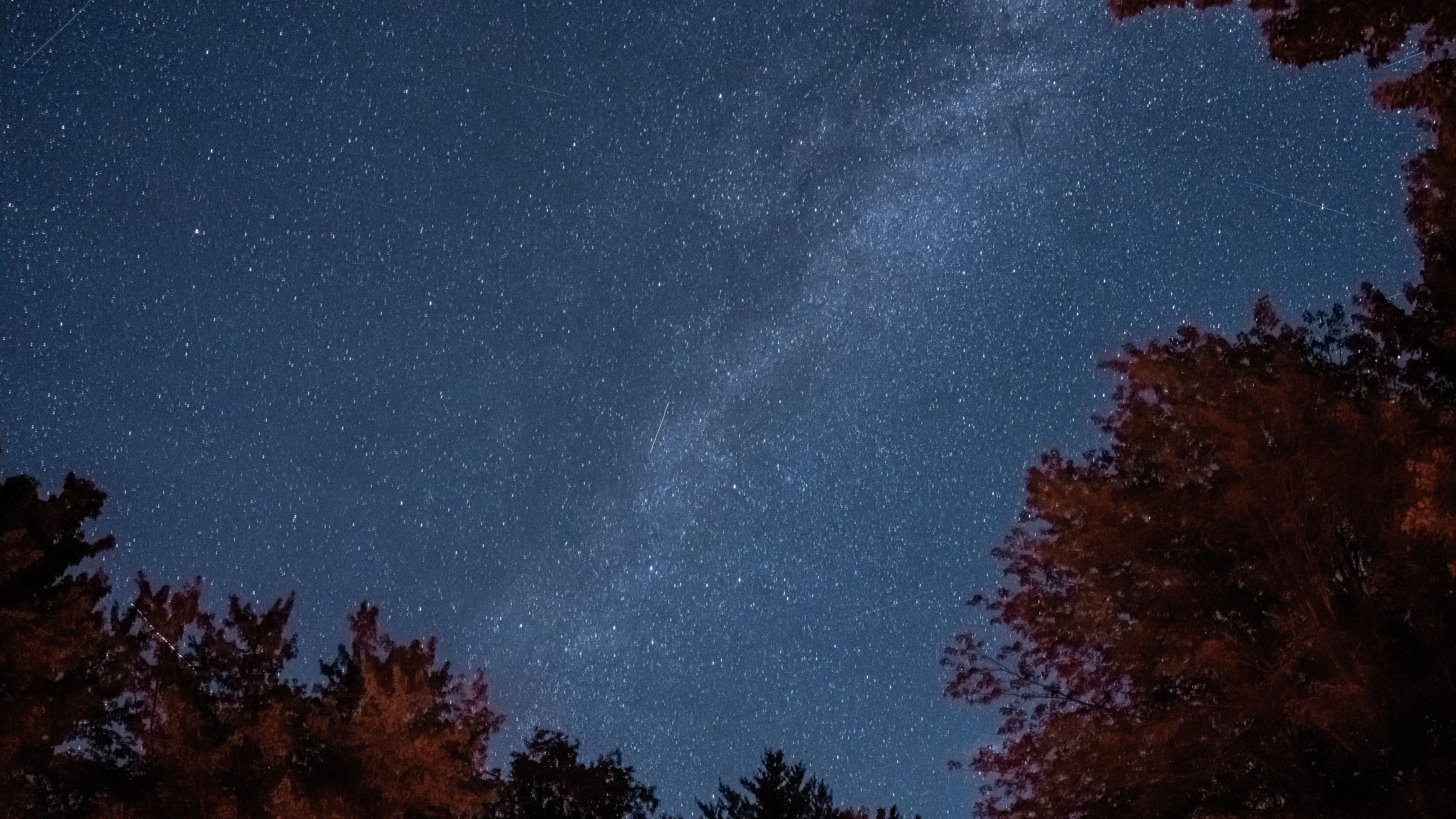 A blue sky filled with thousands of white stars hangs over a shadowed forest and waterway.